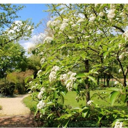 Chambres D'Hotes Les Vignes Montcet Экстерьер фото