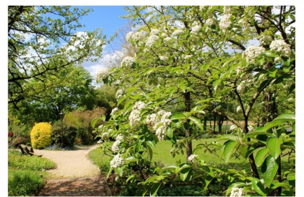 Chambres D'Hotes Les Vignes Montcet Экстерьер фото